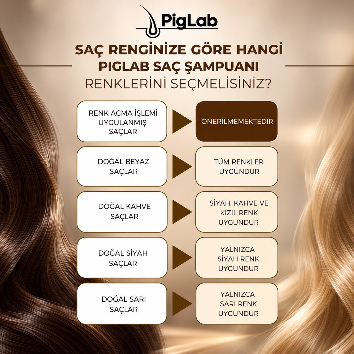 piglab renk secimi