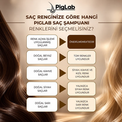 piglab renk secimi